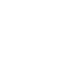 動画をチェック